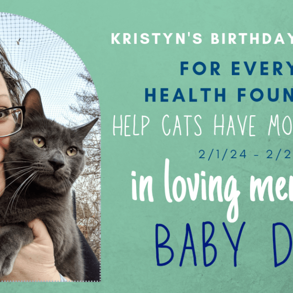 Birthday Fundraiser for EveryCat Health Foundation: In Memory of Baby&nbsp;Doug